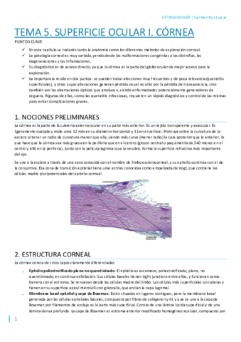 T5.pdf