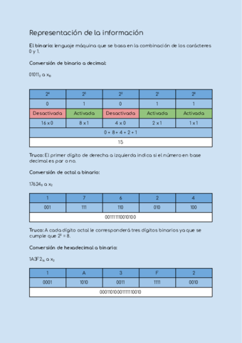 Representacion-de-la-informacion.pdf