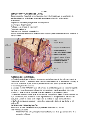 exa-1ev-LA-PIEL.pdf