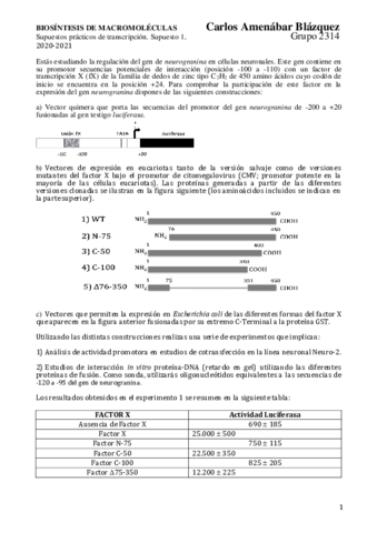 BM-BLOQUE-II-SCP1.pdf