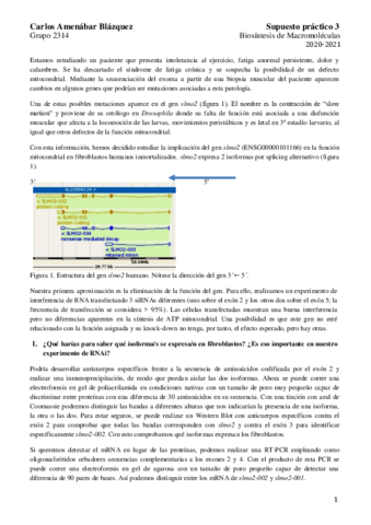 BM-BLOQUE-II-SCP3.pdf
