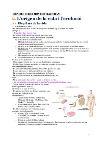 Resum-cmc-examen-3.pdf