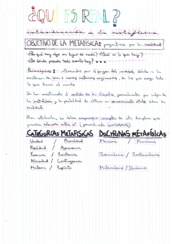 Que-es-real-TEMA-2.pdf