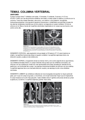 TEMA-3-TAC-DE-COLUMNA.pdf