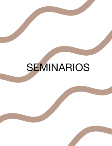 Seminarios.pdf