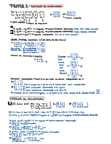 Sistema-de-ecuaciones.pdf