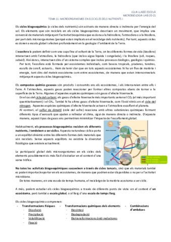 Tema-11-Microorganismes-en-els-cicles-dels-nutrients-I.pdf