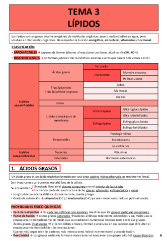 TEMA-3-LIPIDOS.pdf