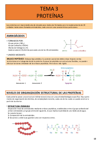 TEMA-4-PROTEINAS.pdf
