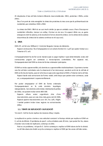 Tema-4-Composicio-del-citoplasma.pdf