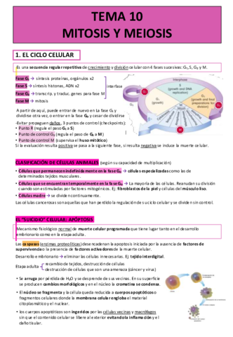 TEMA-10-MITOSIS-Y-MEIOSIS.pdf