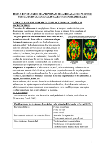 TEMA-5-EVALUACION.pdf