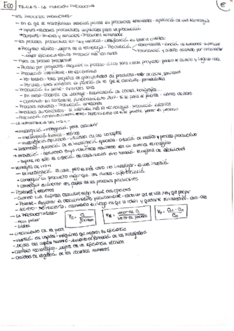 ECO-TEMA-5-LA-FUNCION-PRODUCTIVA.pdf