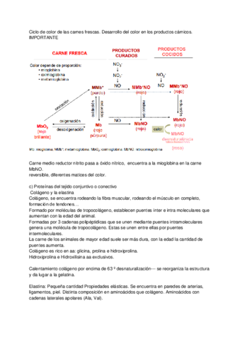 Carnicos-Clase-1810-.pdf