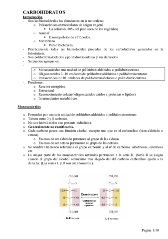 CARBOHIDRATOS.pdf