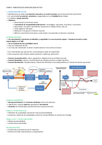 TEMA-5-CINESITERAPIA.pdf