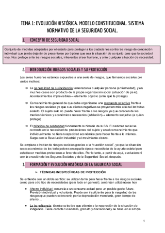 TEMA-1-DERECHO-DE-LA-PROTECCION-SOCIAL.pdf
