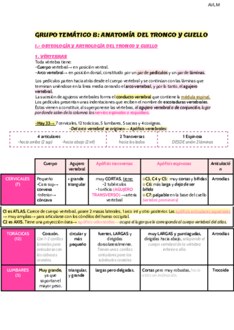 B-Anatomia-del-tronco-y-cuello-3.pdf