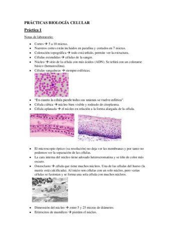 PRACTICAS-BIOLOGIA-CELULAR.pdf