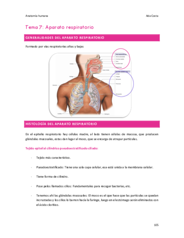 Tema-7-Anatomia-humana.pdf