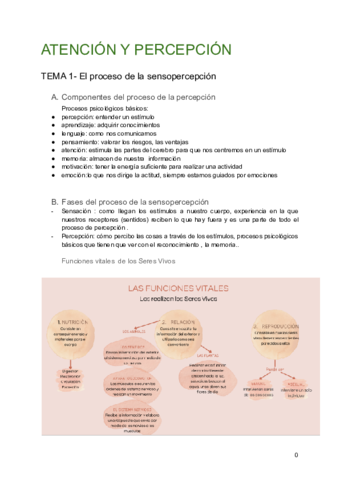 ATENCION-Y-PERCEPCION-Tema-1.pdf