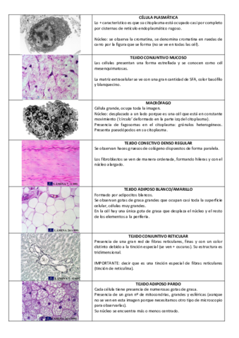 SEMINARIO-2.pdf