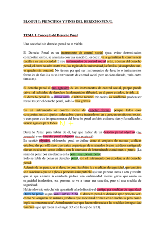 DERECHO-PENAL-I.pdf