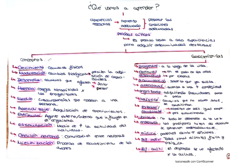 Esquema-DCM-Tema-1.pdf