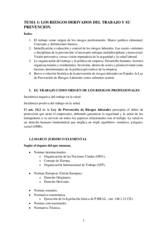TEMA-1-LOS-RIESGOS-DERIVADOS-DEL-TRABAJO-Y-SU-PREVENCION.pdf