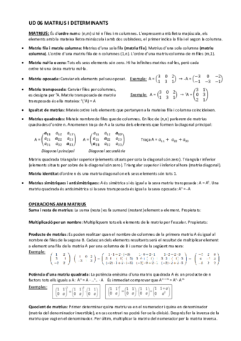 UD-06-MATRIUS-I-DETERMINANTS.pdf