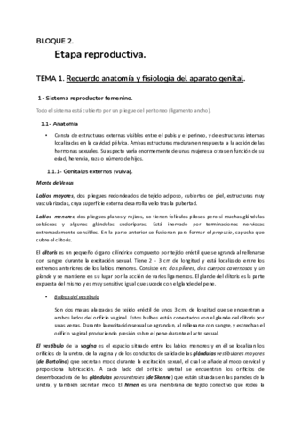 todo-el-temario-MATERNO-con-preguntas-test-de-examen-Documentos-de-Google.pdf