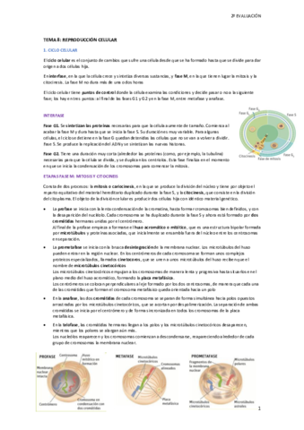 BLOQUE-2.pdf