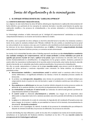 tema-6-teorias.pdf