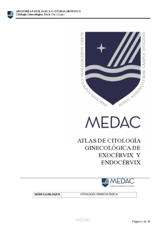 TRABAJO-SUBIDA-NOTA-GINE.pdf