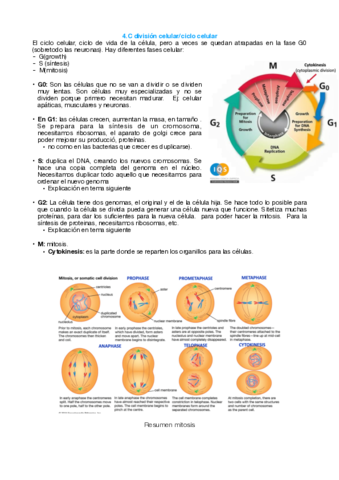 tema-4.pdf