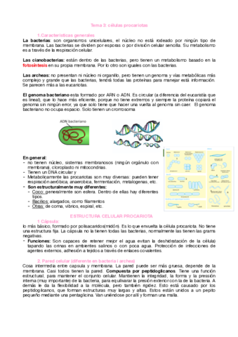 tema-3-bio-procariotas.pdf