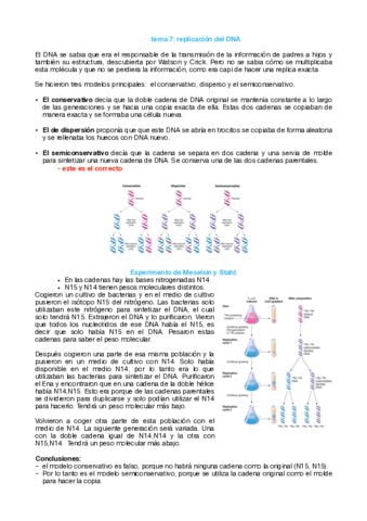 tema-7-replicacion-del-DNA-pdf.pdf
