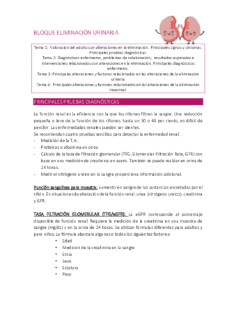 BLOQUE-ELIMINACION-URINARIA.pdf