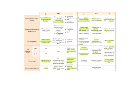 GLOMERULONEFRITIS.pdf