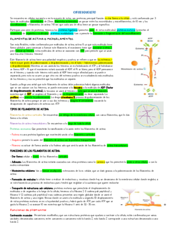 Citoesqueleto-clase-6.pdf