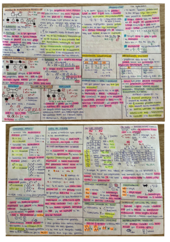 En-blanco-4.pdf