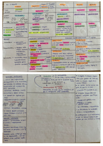 En-blanco-5.pdf