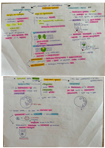 En-blanco-6.pdf