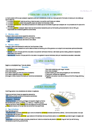 4ESO Tema 1 La célula