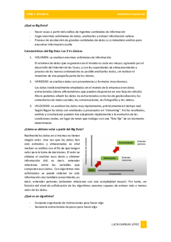 Apuntes-Sintesis-T1-Lucia-Cabrejas.pdf