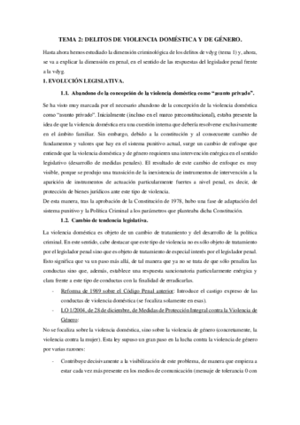 Tema-2-VG-DP.pdf