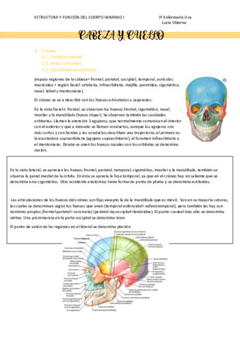CABEZA-Y-CUELLO.pdf