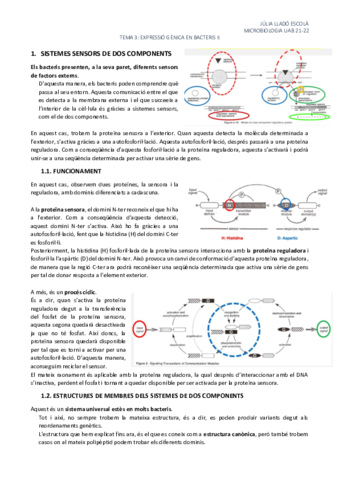 Tema-3-Expressio-genica-en-bacteris-II.pdf