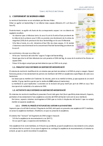 Tema-5-Restriccio-bacteriana.pdf