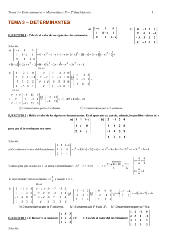 9-Determinantes.pdf